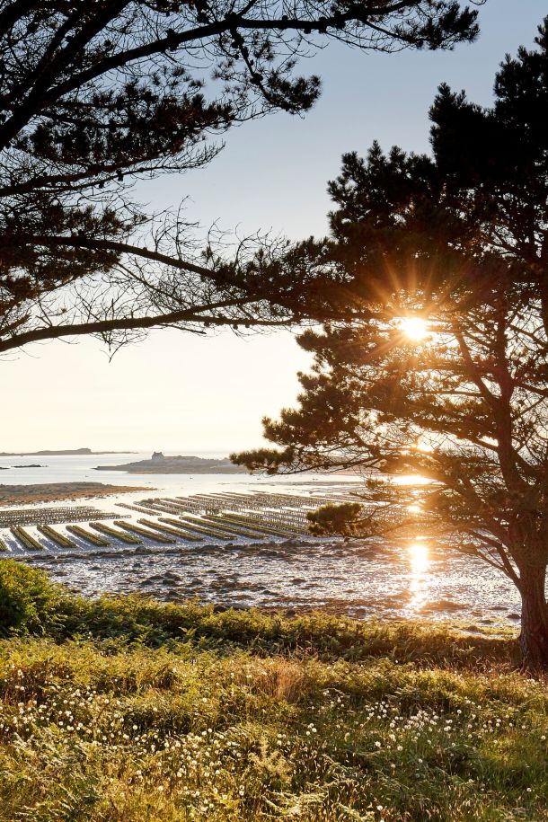 couchers de soleil sur les parc à huitres à plouguerneau